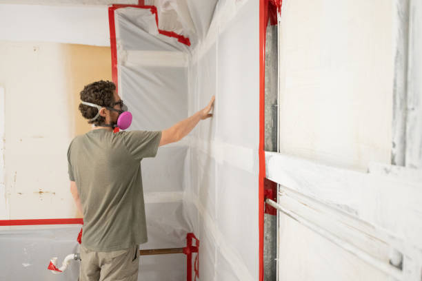 Mold Remediation for Rental Properties in Bliss Corner, MA