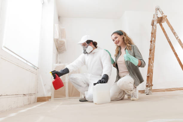 Best Comprehensive Air Testing for Mold Contaminants  in Bliss Corner, MA